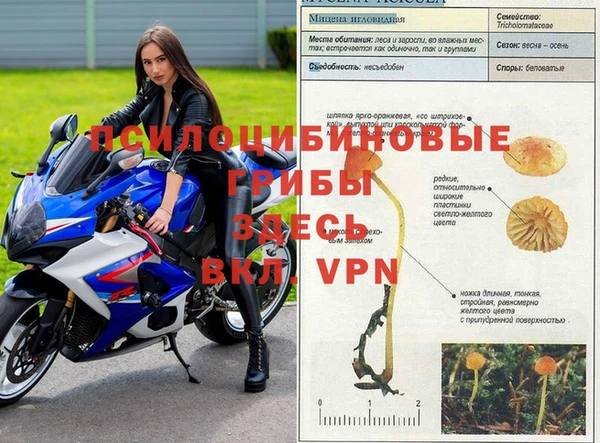 дурь Абдулино