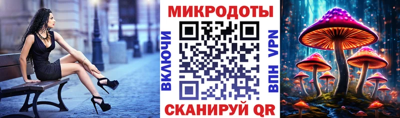 Галлюциногенные грибы Psilocybe  купить наркотики сайты  Сухой Лог 